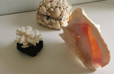 Απέραντο γαλάζιο Le grand blue - Foto 31