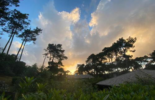 Villa de plage de caractere - 14 pers - CAP FERRET - Foto 9