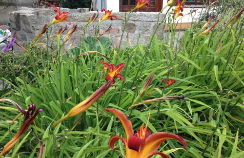 3 Sterne FH Fürstenwalde - Photo 2