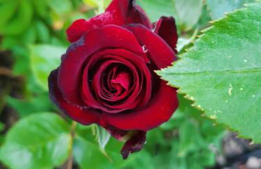 Ferienwohnung Nauen - Foto 12