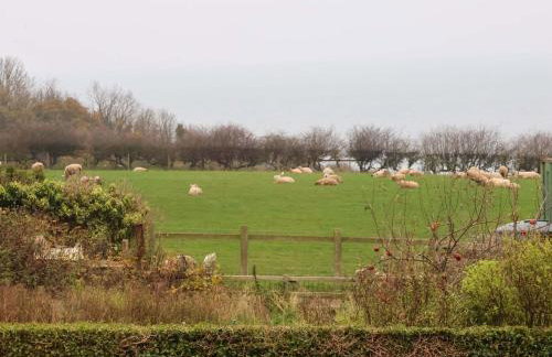 Orchard Cottage - Photo 30