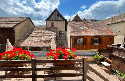 La Maison Bleue - Historic House in the Heart of Riquewihr - Foto 38