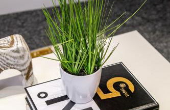 Spacious London 2-Bed Flat with a King Bed-Save on Long Stays-5 Separate Beds- Parking Available! - Foto 29