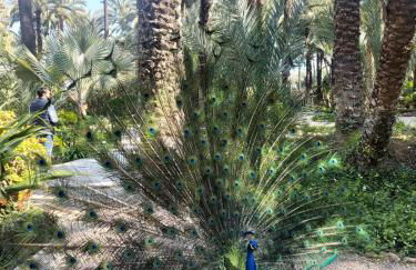 Salvador House II - Foto 24