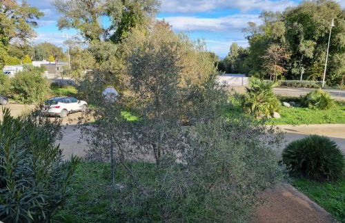 Appartement T2 dans résidence avec piscine - Foto 14