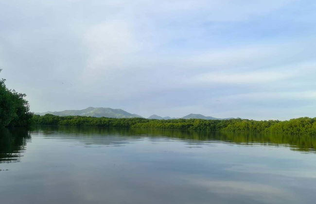 Balade en kayak dans la réserve ornithologique de Caroni - Photo 2