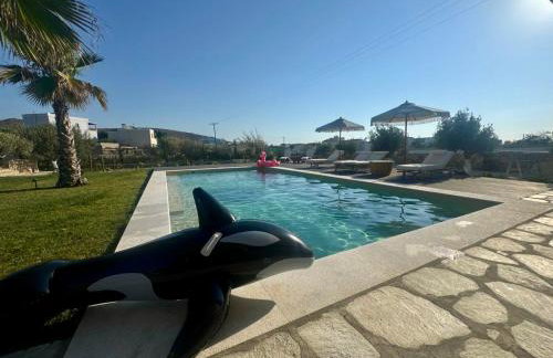Villa Loretta with pool, jacuzzi and garden - Photo 26