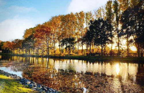 Stadtherz Lingen - Foto 15