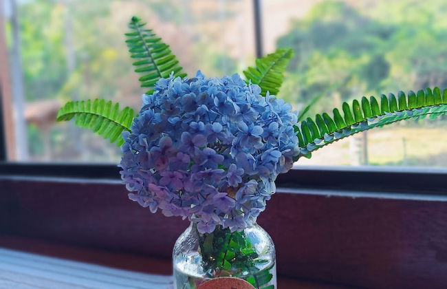 Allamanda Flats Visconde de Mauá - Foto 4