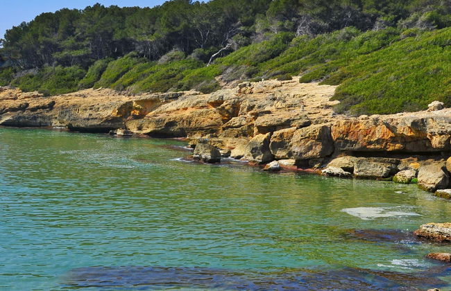 Tour de jet ski por Cala Mora - Foto 6
