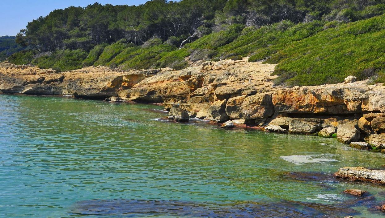 Tour en moto de agua por Cala Mora