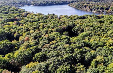 Hot Tub + Sauna + Deck + Firepit + Beach Access + Near Dining Grateful Escape by Avantstay - Foto 12