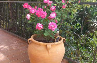 CHAMBRE salle de bains privée Jardin Arboré - Photo 8