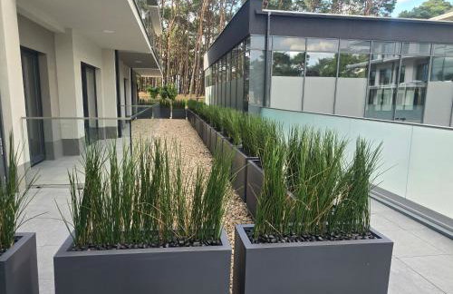 Hevenia apartament 19 - Foto 6