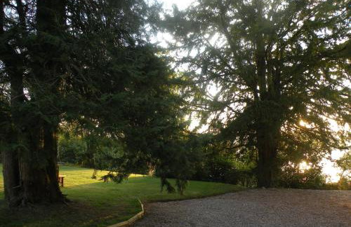 Thistle House Guest House - Foto 15