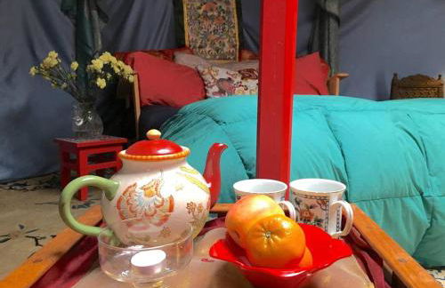 Authentic Mongolian Yurt for a Serene Healing Retreat in Saratoga Springs, New York - Foto 11