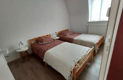 Terracotta - Foto 25