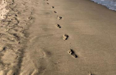 CHALET en la PLAYA CON PISCINA, Premiado en 2026 !!! - Photo 33