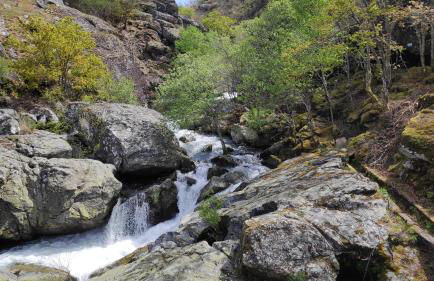 Pé na Aldeia - Foto 38