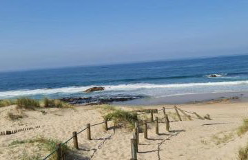 Moradia Pinheiro Manso - Foto 40