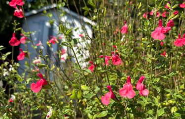 Villa Andrina a Ares Bassin Arcachon - Foto 21