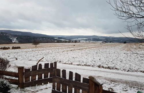 Jabłoniowy Sad Kalwaria Pacławska - Foto 50