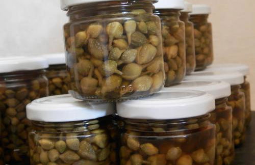 Agriturismo Salento D'Arare - Foto 38