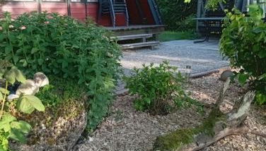 Ferienhaus mit Seeblick - Foto 3