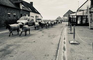 Gîte La Mouette de 4 personnes - Foto 1