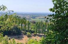 FeWo Sartorius am Hemsberg - Foto 48