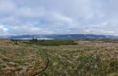 Thistle House Guest House - Foto 70