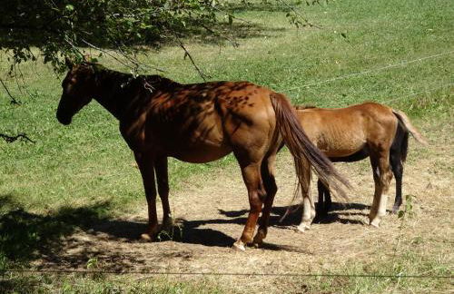 les Gites de l’E.D.E. - Photo 62
