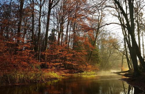 NEU! Alte Schule Jarnsen Klassenzimmer - Photo 17