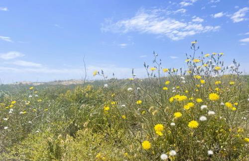 Onze - primera línea de mar con piscina - Foto 24