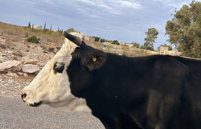 L'abri De La Plage - The Pool House - Foto 59
