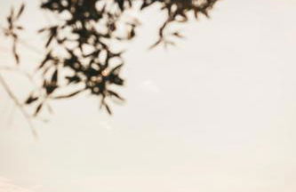 Casa da Bia - Foto 36