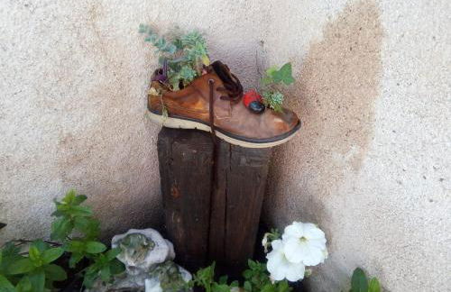 PINAR DE LAS CABAÑUELAS - Foto 15