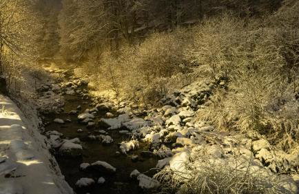 Izeria 112 Riverside House - Foto 46