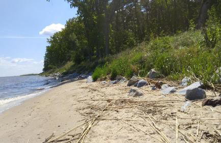 Villa Aurea - Foto 36