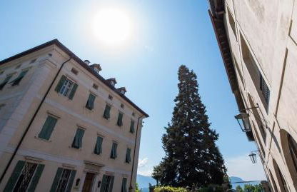 Apartments Windegg - Foto 14