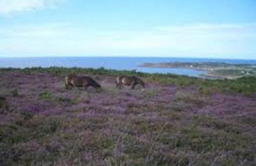 Le Rayon Vert - Gite 4 personnes à 400 m de la mer - Foto 28