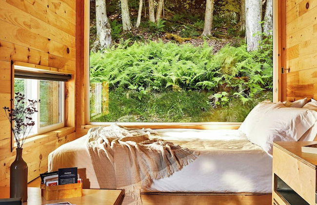 Postcard Cabins Hill Country, Outdoor Collection by Marriott Bonvoy - Foto 13