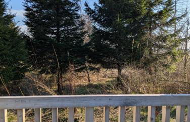 Blair snug hut - Photo 6