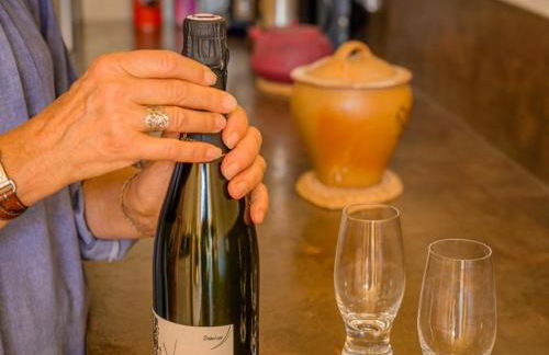 Maison troglodyte de charme avec salle de jeux et spa à Vouvray - FR-1-381-87 - Foto 9