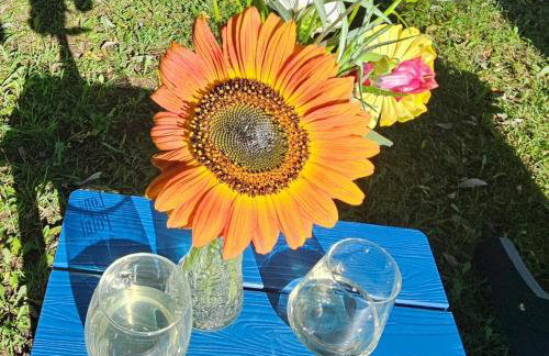 Heron Cottage on Cayuga Lake - Foto 54