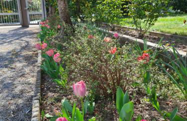 Le peonie - Photo 10