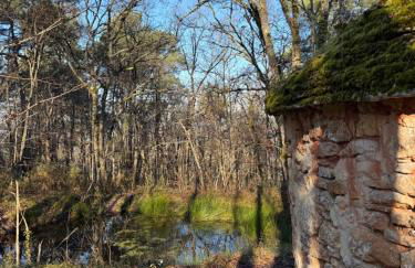 La Ferme de Belbouys - Foto 53