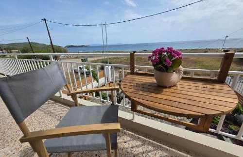 Sea Lilly - Photo 36