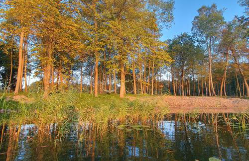 Bujanie w sitowiu - Foto 10