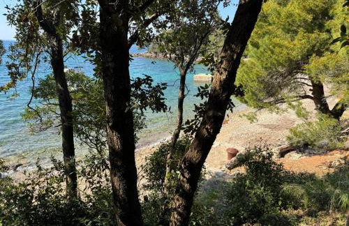 Apartment Salvia - Stivan, Cres - 900 m to Merascica beach - Foto 23